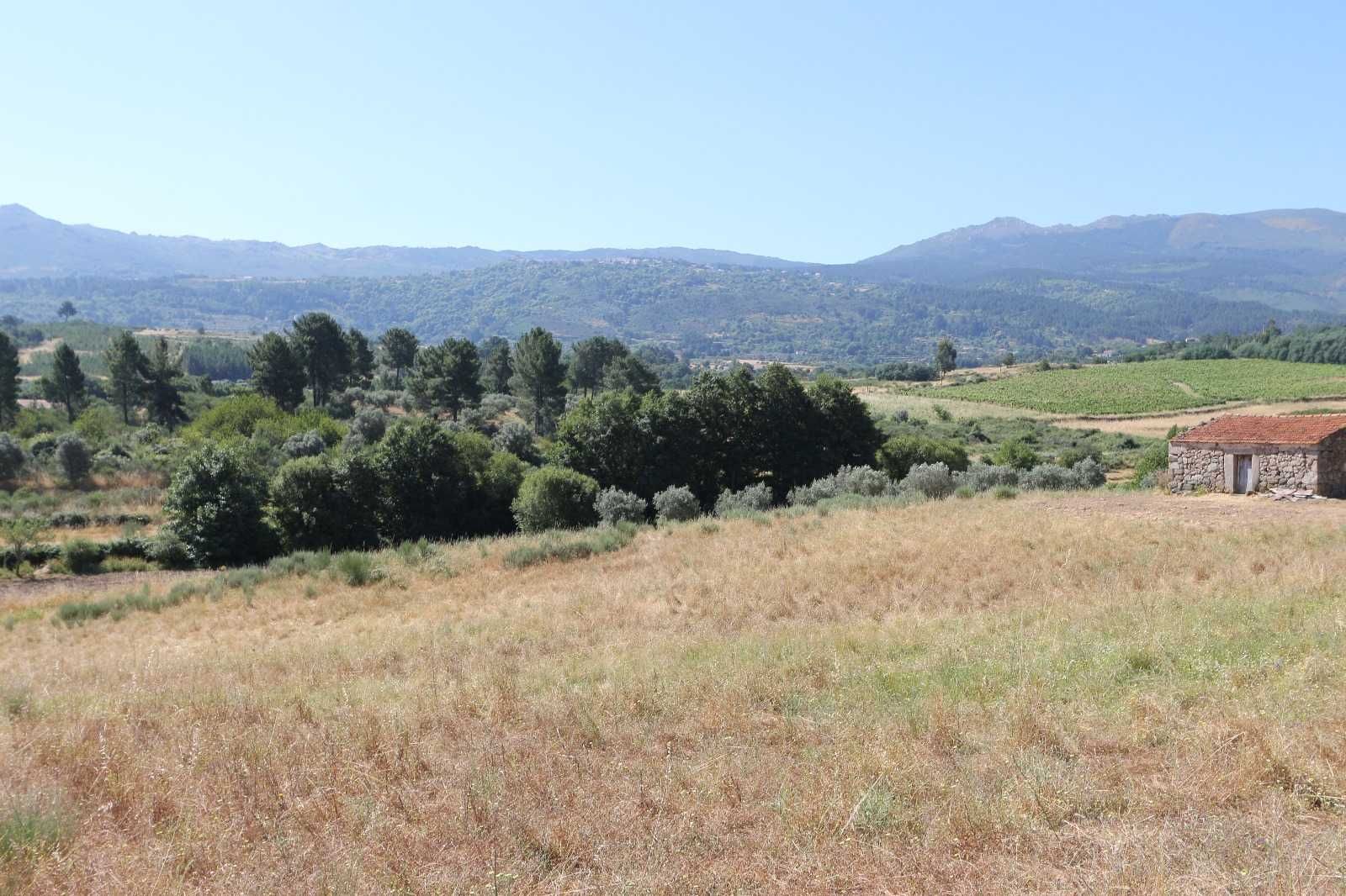 Quintinha com 13.400m² à venda na Serra da Estrela (30.000€)