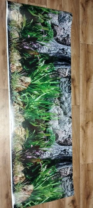 Akwarystyka ąkcesoriak