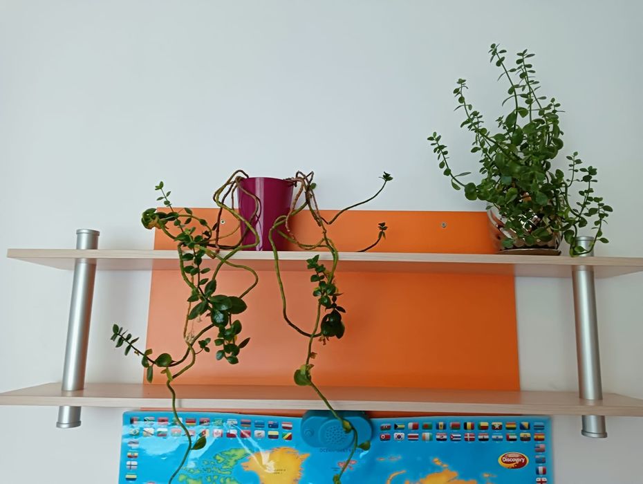 Meble dziecięce w dobrym stanie