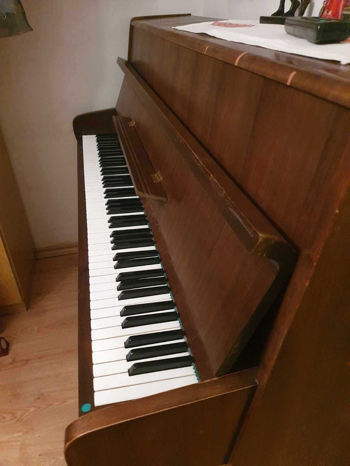 Pianino Calisia - Bardzo Dobry Stan