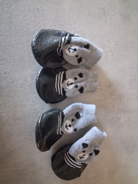 Buty dla psa shih tzu,york