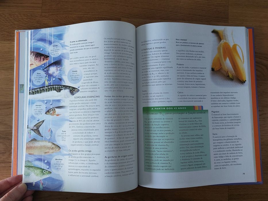 Livro Cérebro e Sistema Nervoso Central