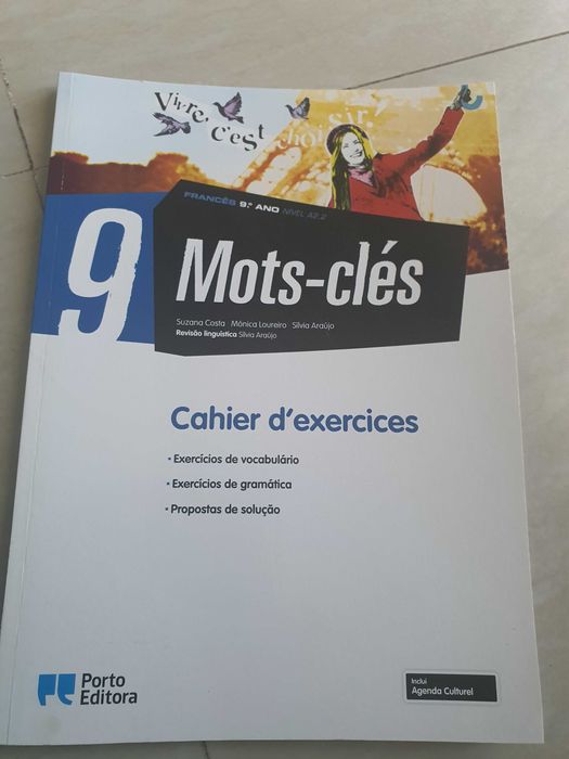 Manual de fichas Francês 9 ano