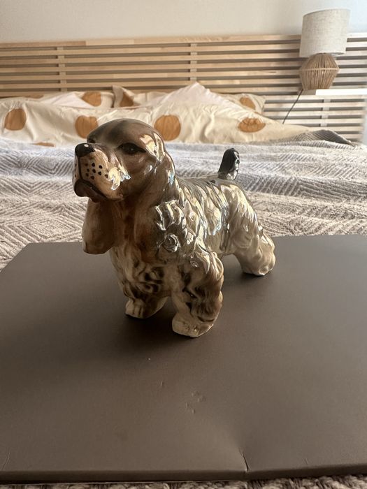 Cocker spaniel angielski