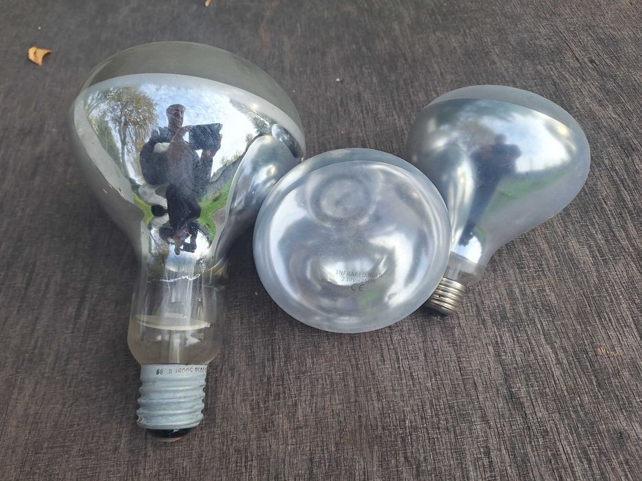 Лампочки накаливания миниатюрные МН, СМН, КМ, ЦВ-3, ЦГ-3, светодиоды