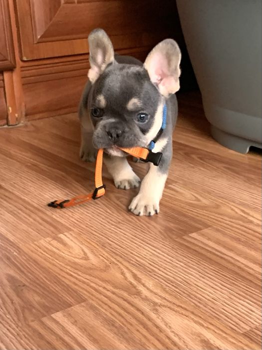 Молодий шикарний красень