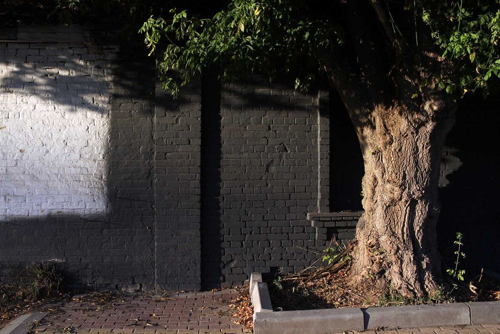 Canon EF-S 24mm 1:2.8 STM - компактний помірний ширококутник (APS-C)