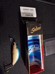 Salmo Hornet H3SSR DB