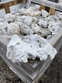Wapień Filipiński Biały Kamień Skała Wapienna do Akwarium Filipino