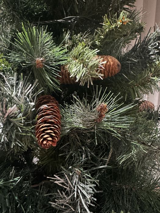 Árvore de Natal com 2.10m de altura.