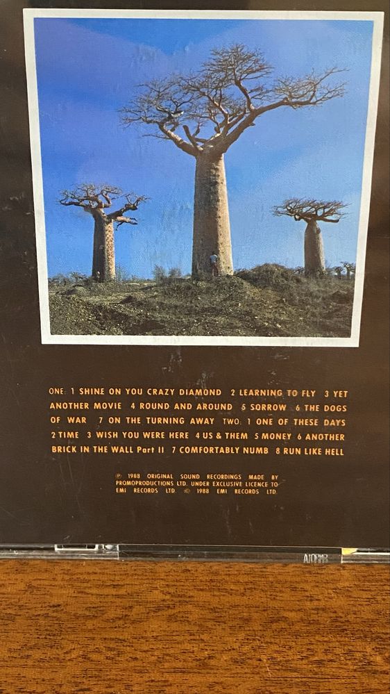 Pink Floyd Album “Delicated Sound of Thunder” LIVE