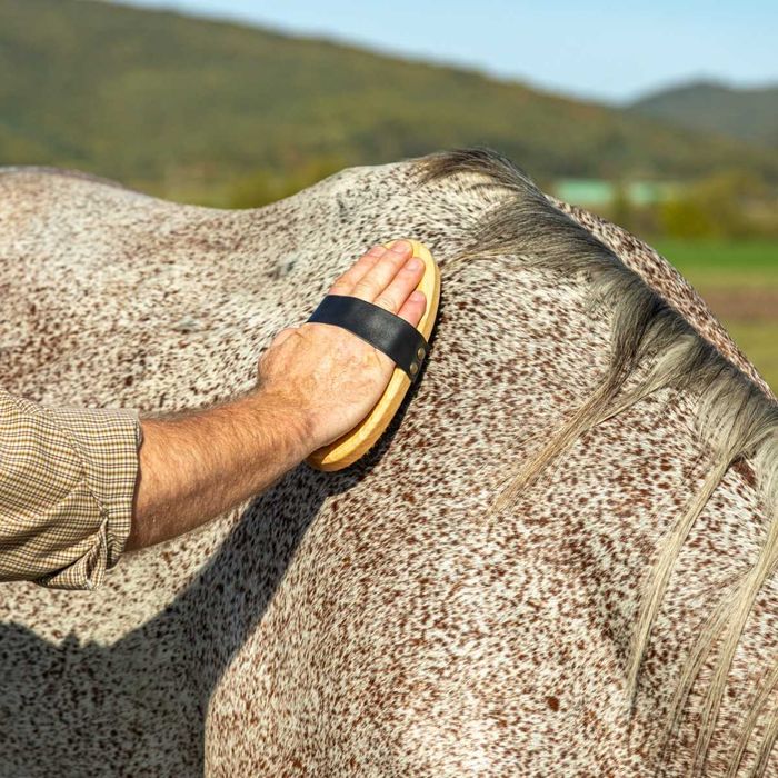 Szczotka z mosiężnego i nylonowego włosia do skóry i sierści Konia