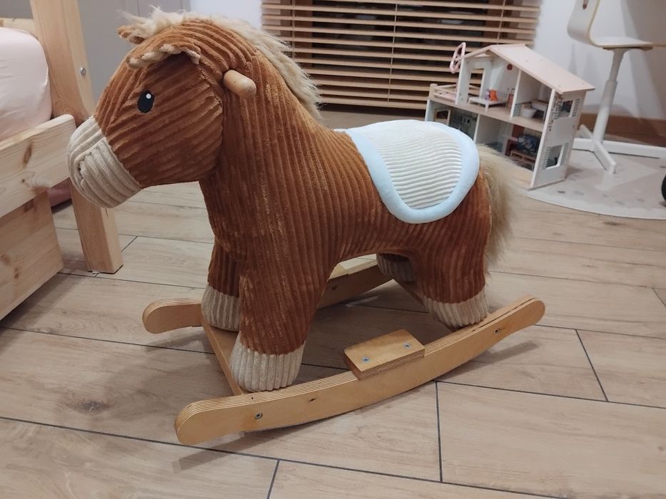 Konik na biegunach piękny