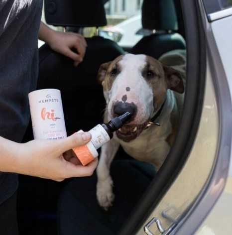 Karma uzupełniająca dla zwierząt Hempets 1000 mg CBD