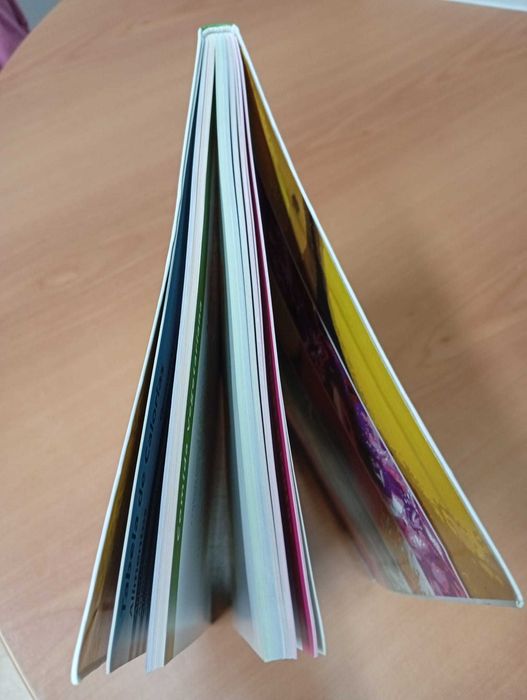 Livro: Coisas Boas que Não Engordam