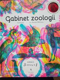 Gabinet zoologii