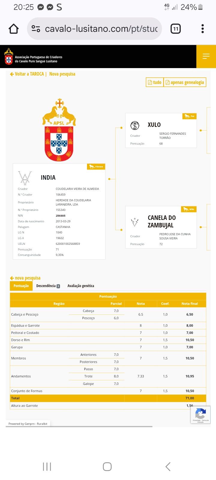 Poldro psl top.  .
