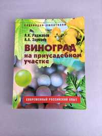 Виноград на приусадебном участке Раджабов
