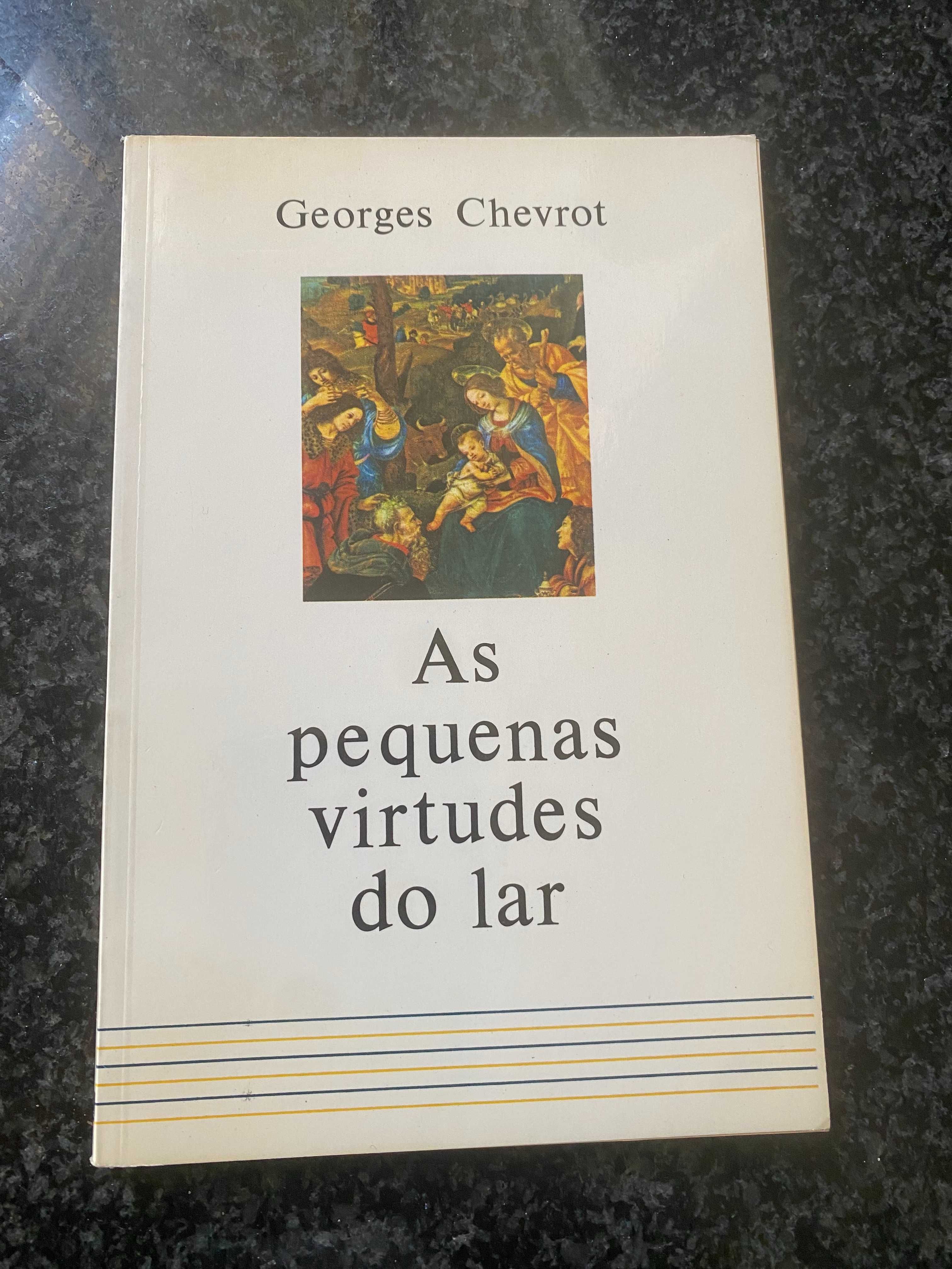 livro em bom estado, as pequenas virtudes do lar