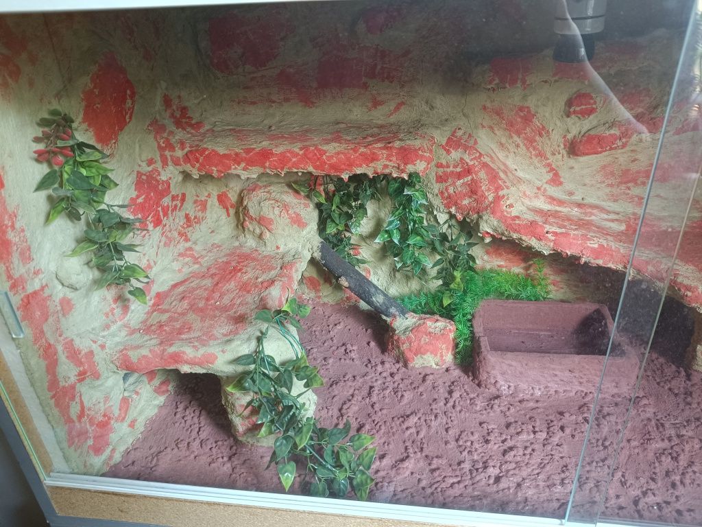 !Mega! Terrarium