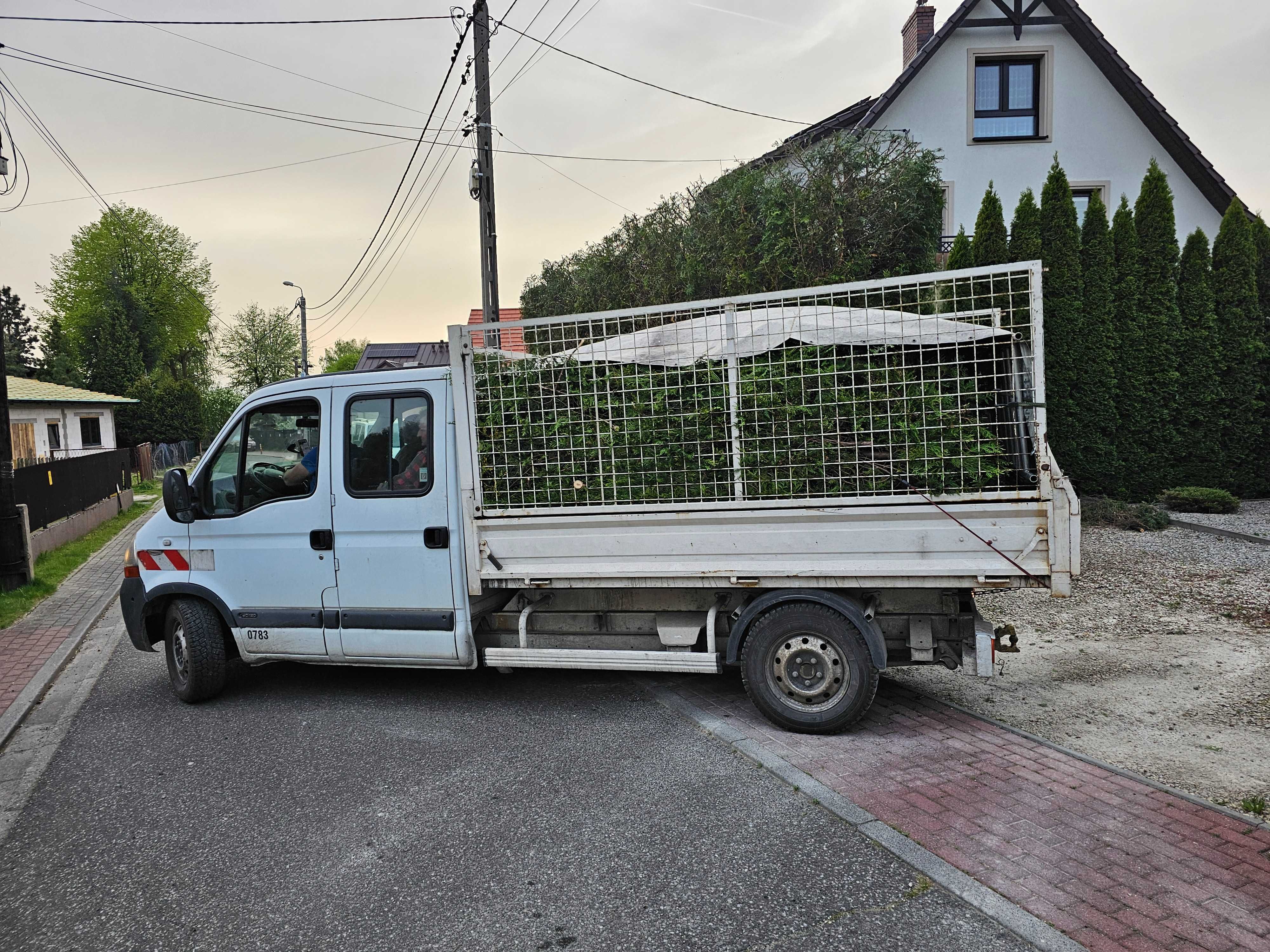 Skracanie tui, przycinanie tui i żywopłotów, nasadzanie tui, wywóz
