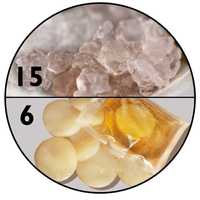 Probiotyczne DUO | kryształki japońskie 15 g + kombucha 6 cm