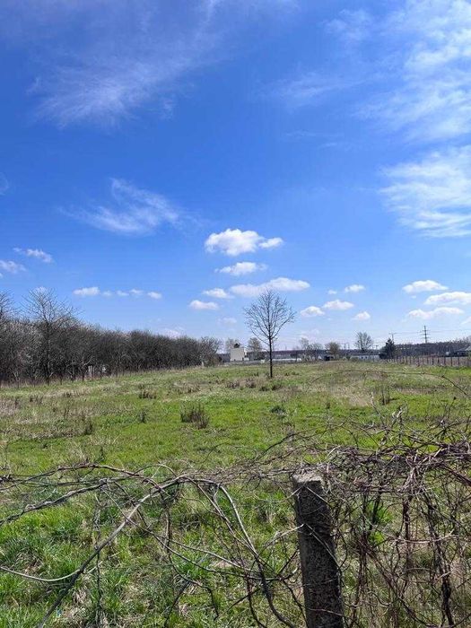 Wynajmę połowę działki/placu przy węźle Warszawa Zachód/A2/STP Mory