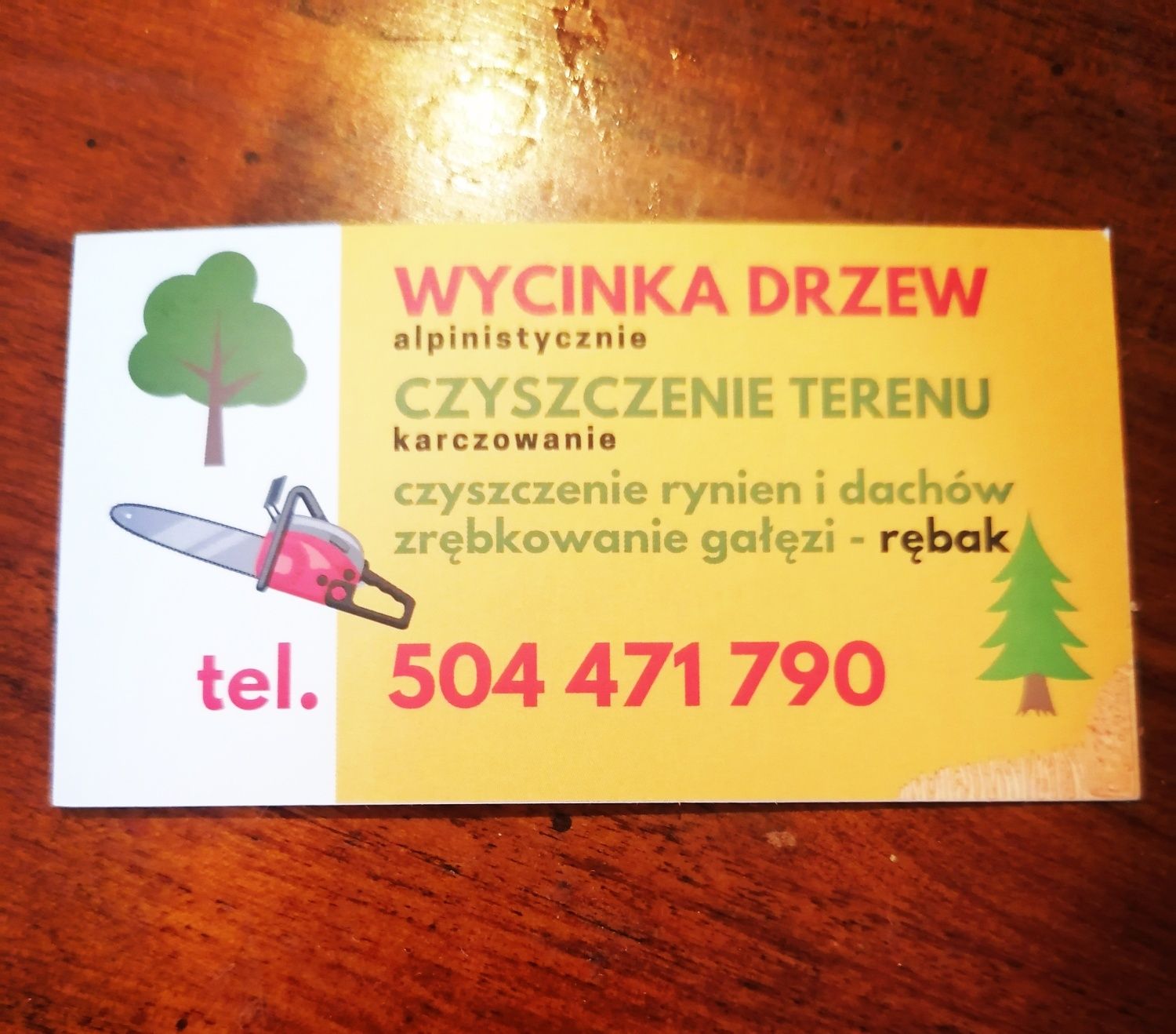 Drzewołaz wycinanie drzew wysokościowe rębak