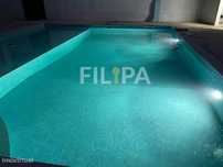 Moradia V3 com piscina e Jardim com anexos