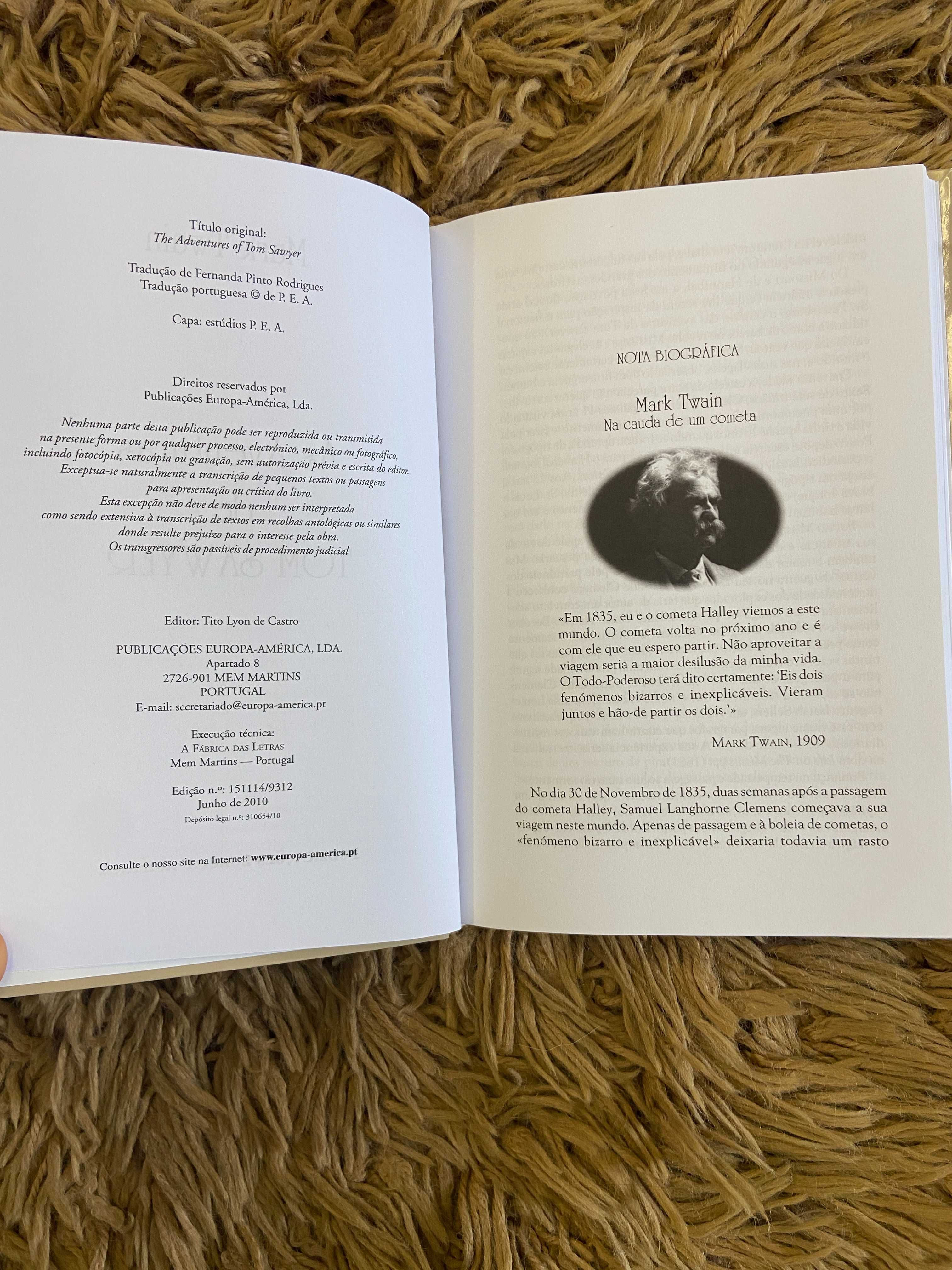 As Aventuras de Tom Sawyer - Mark Twain