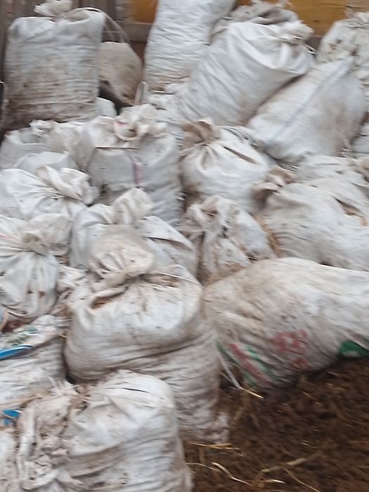 ,Навоз чистый  . конский.