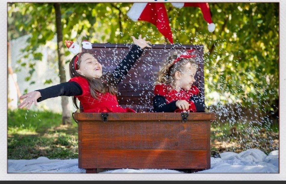 Arca em madeira maciça