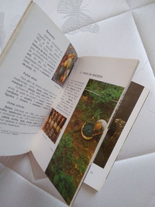 Livro guia Madeira e Porto Santo Duas Ilhas em contraste