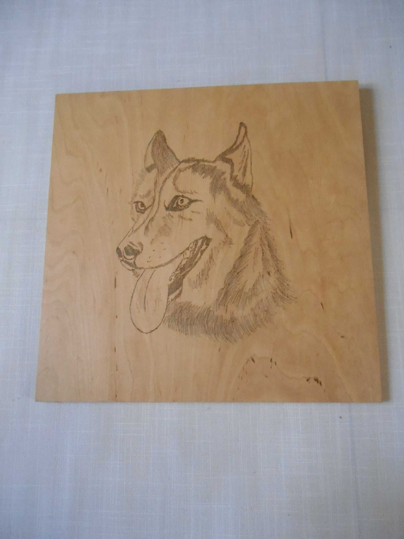 obraz portret owczarka niemieckiego, obraz pies Wilczur