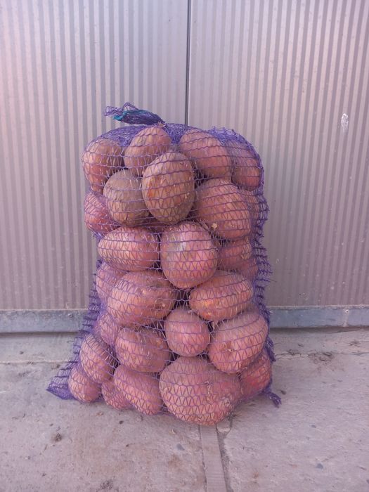 Sprzedam ziemniaki  bellarosa i vineta  
 kilogram 1.33
zł .Więcej inf