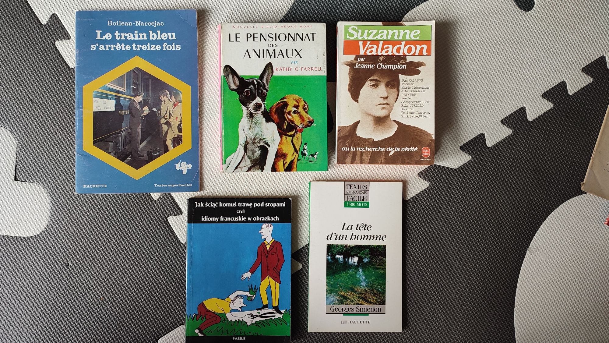 Książki francuskojęzyczne
