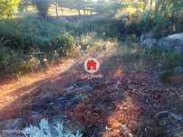 Terreno para construção em Santo Tirso