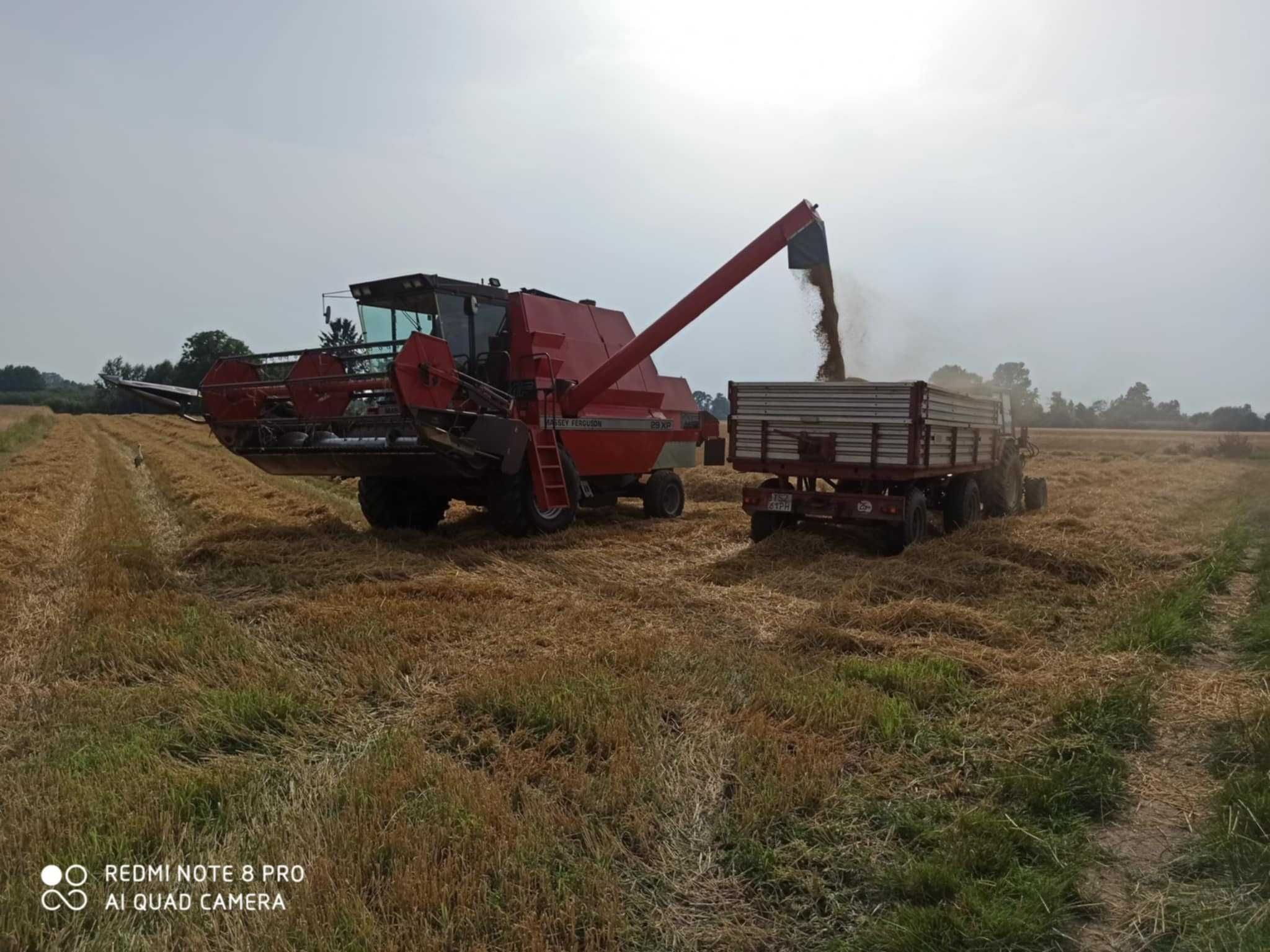 Sprzedam Kombajn Zbożowy MF 29 Xp