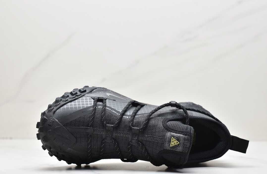 Nike ACG Mountain Fly Low Gtx SE DD2861—