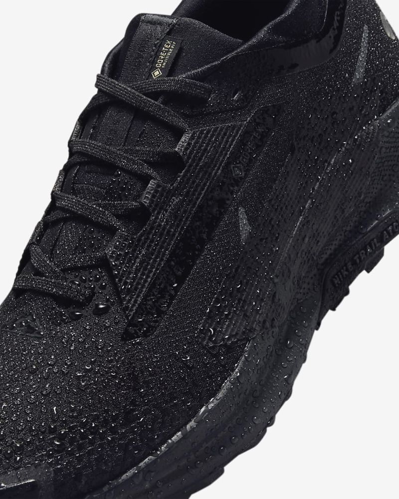 Nike Pegasus Trail 5 Gore-Tex ( FQ0908-002)