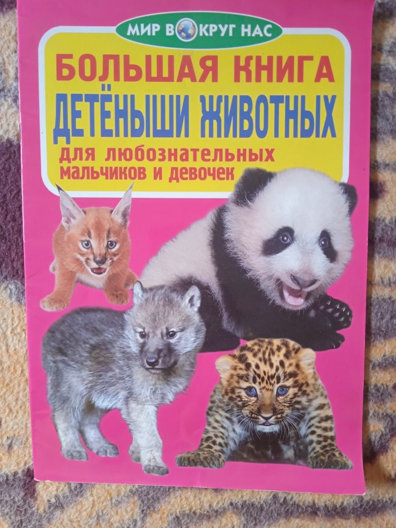 Большая книга"Детёныши животных"