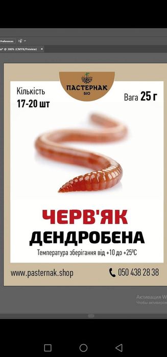 Черв'як середній і крупний .