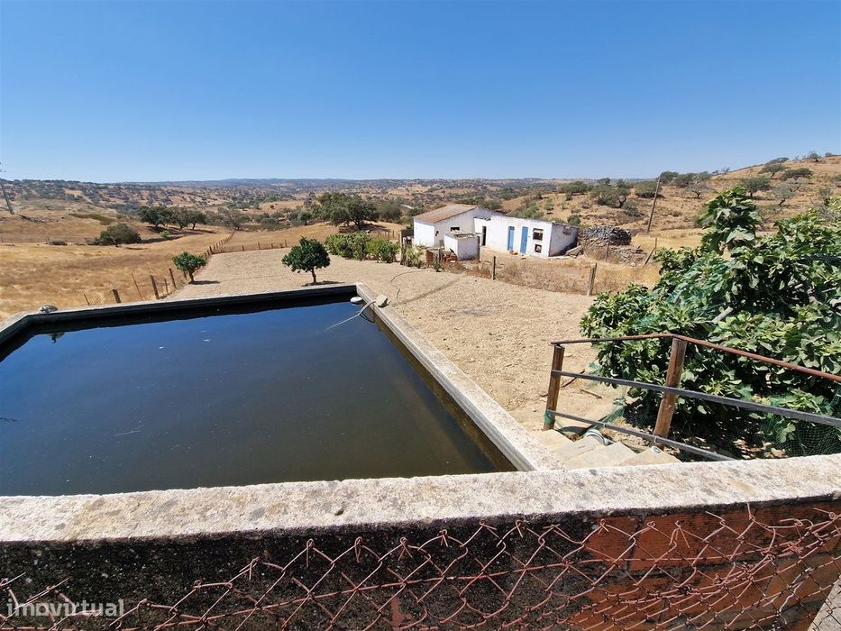 Terreno Rústico  Venda em Almodôvar e Graça dos Padrões,Almodôvar