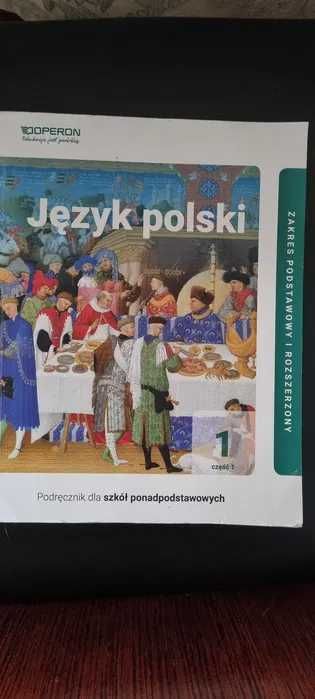Język polski 1 Część 1 Podręcznik Zakres podst. i rozszerzony,