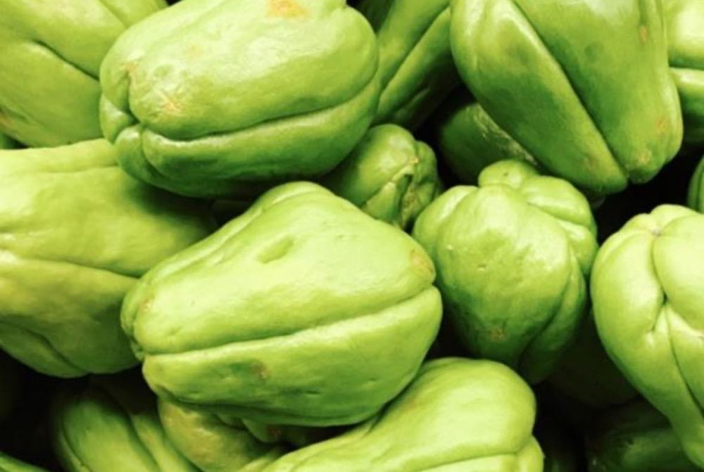 Vendo chuchus a 1 euro/kg