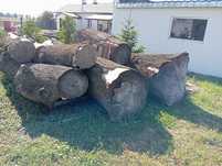 Sprzedam /zamienię kłody jesionowe
