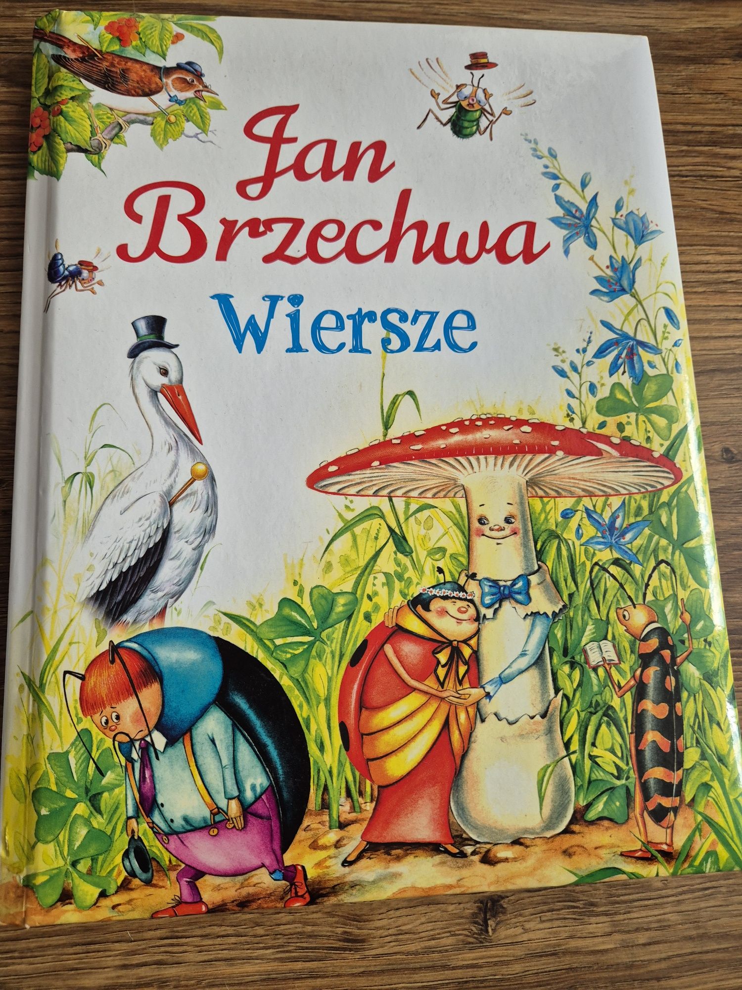 Książki Bajki i Wiersze Jana Brzechwy