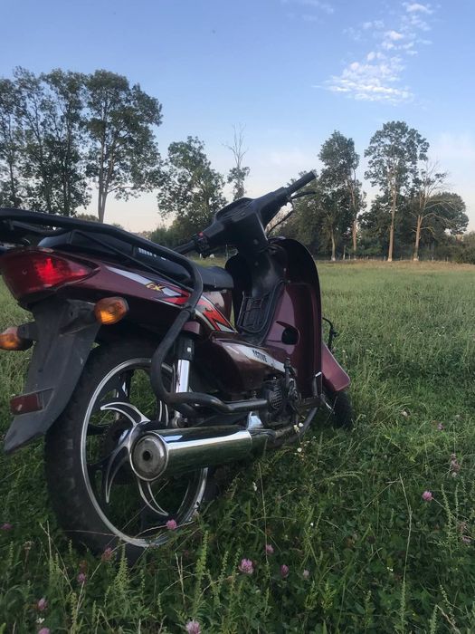 Продам Mustang aktive110