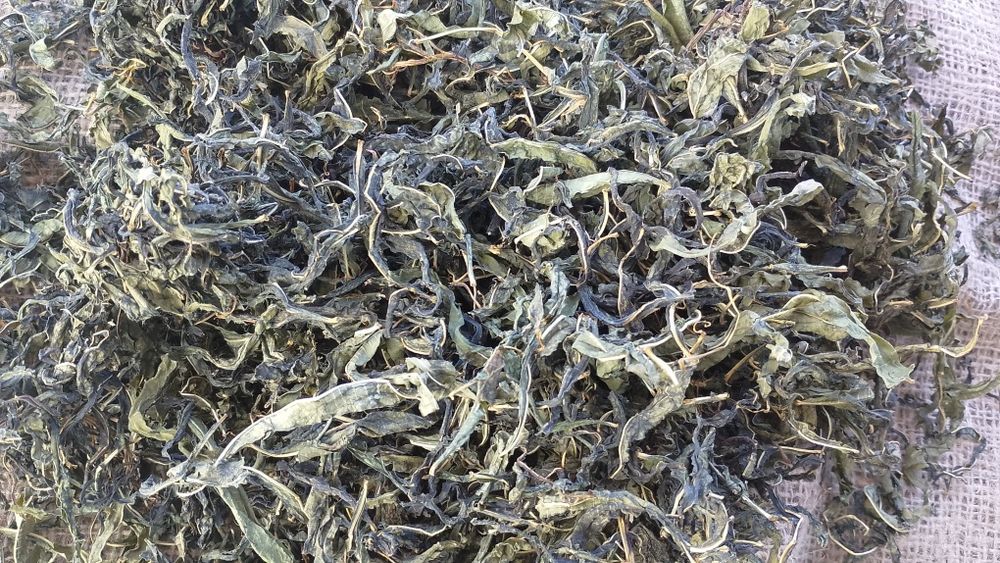 ІВАН-ЧАЙ  кипрей