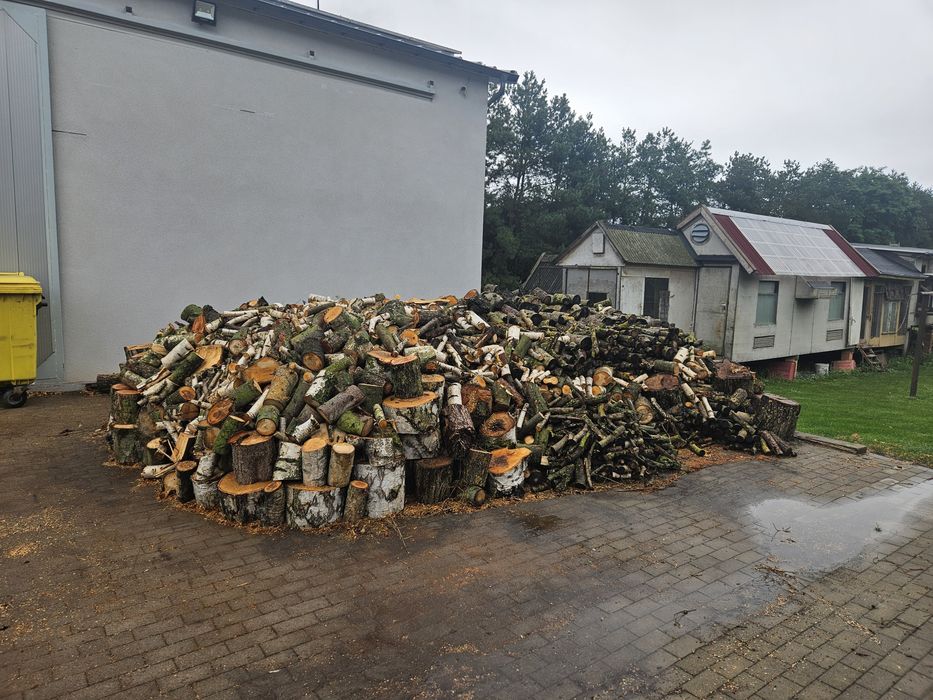 Drzewo mieszane, akacja, orzech włoski